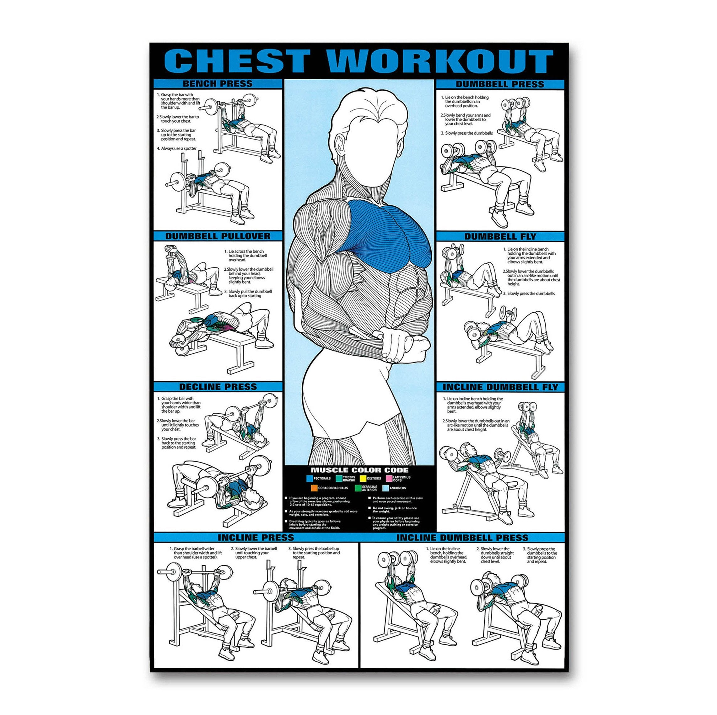 Gym Poster - Chest Workout