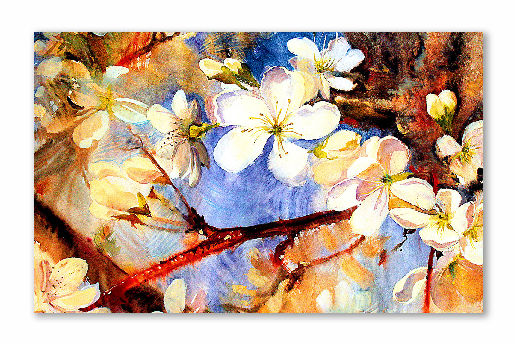 White Spring Flowers - Unframed Canvas Painting