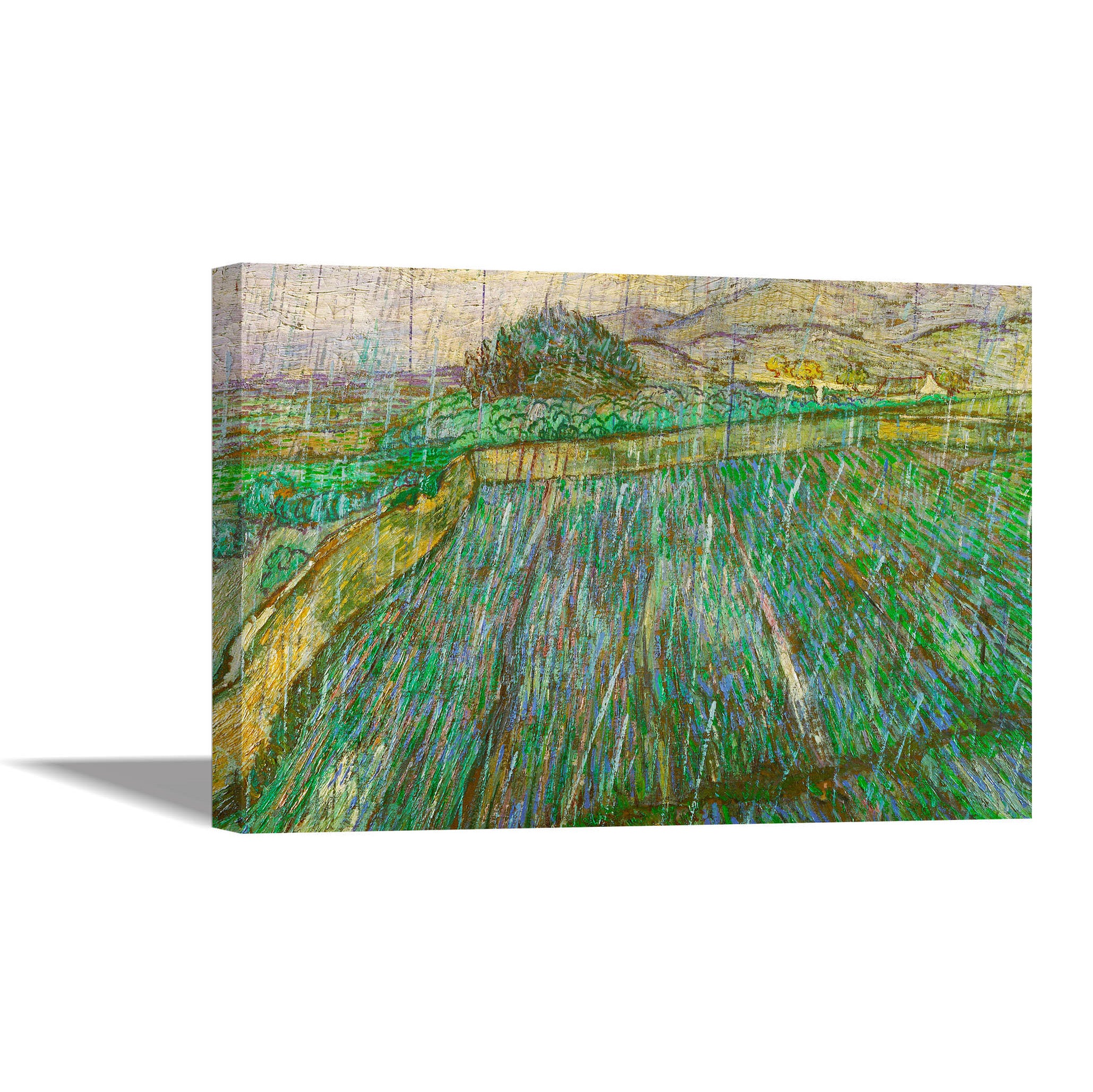 Enclosed Wheat Field in the Rain