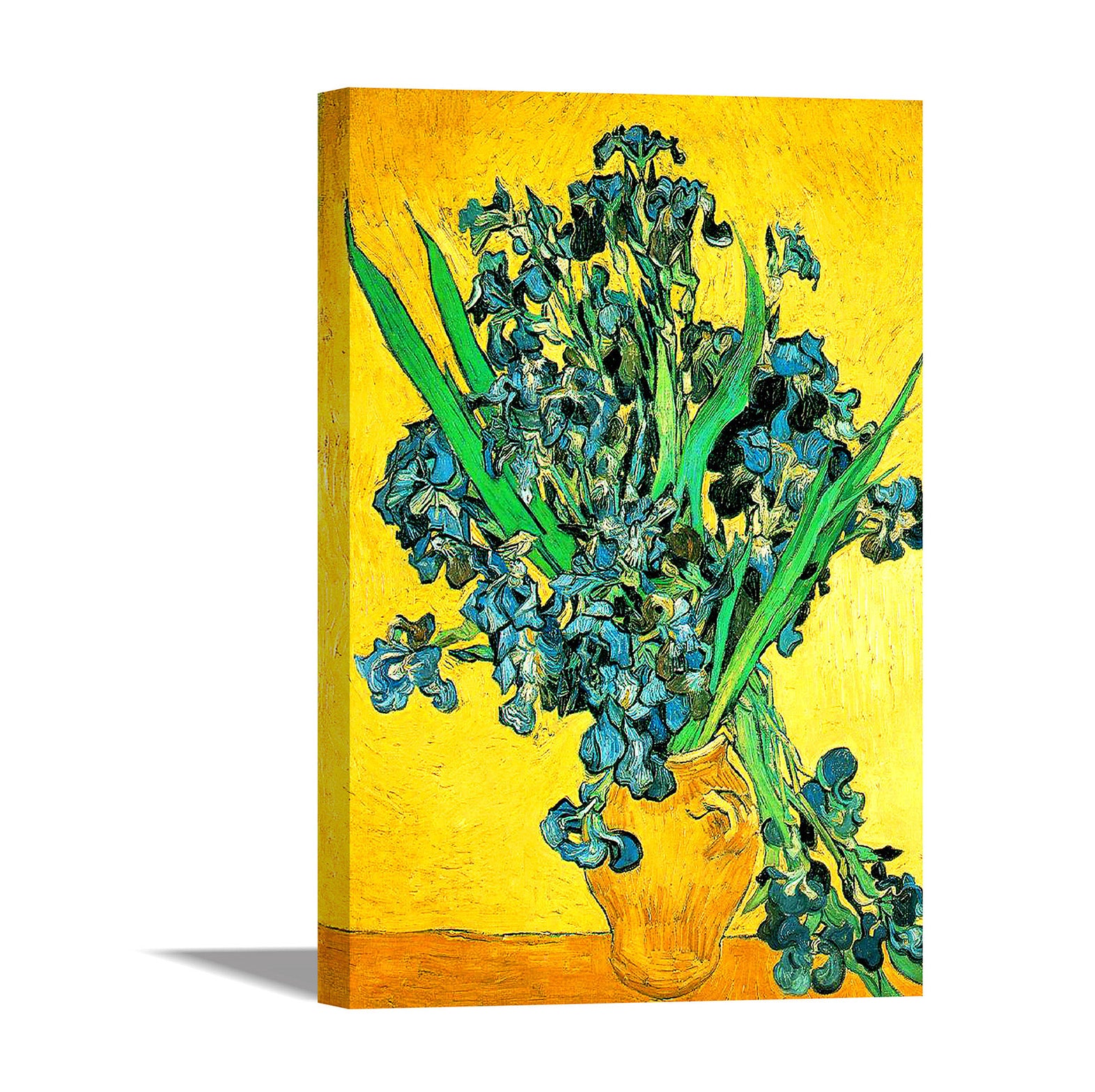 Van Gogh Irises