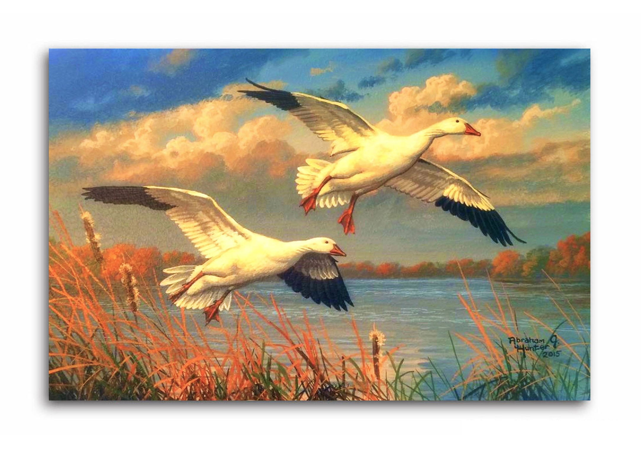 Nature - Swan Birds  - Canvas Painting - Unframed