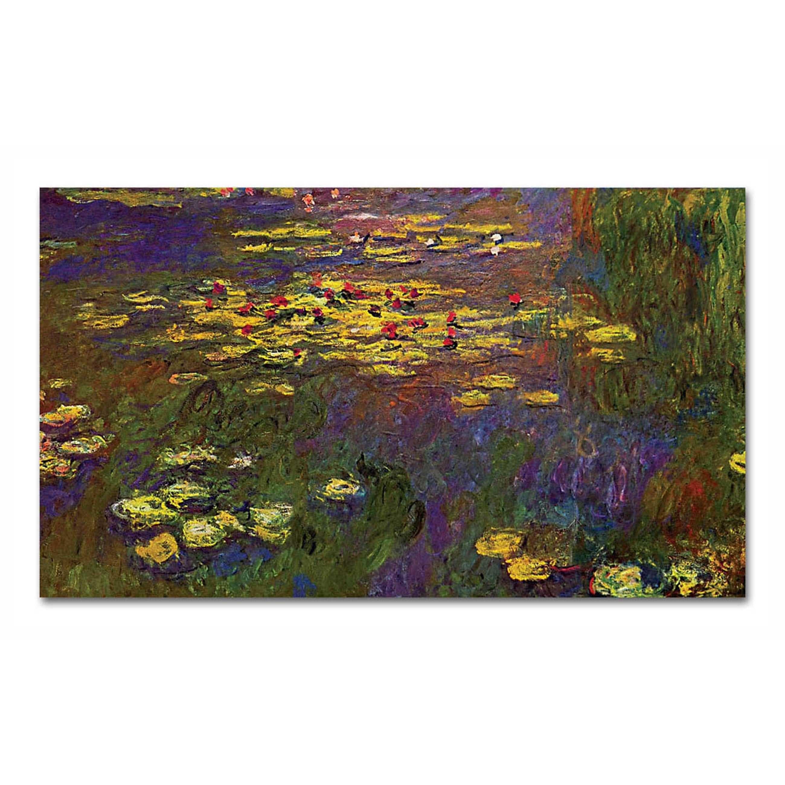 Water Lilies - 19201926