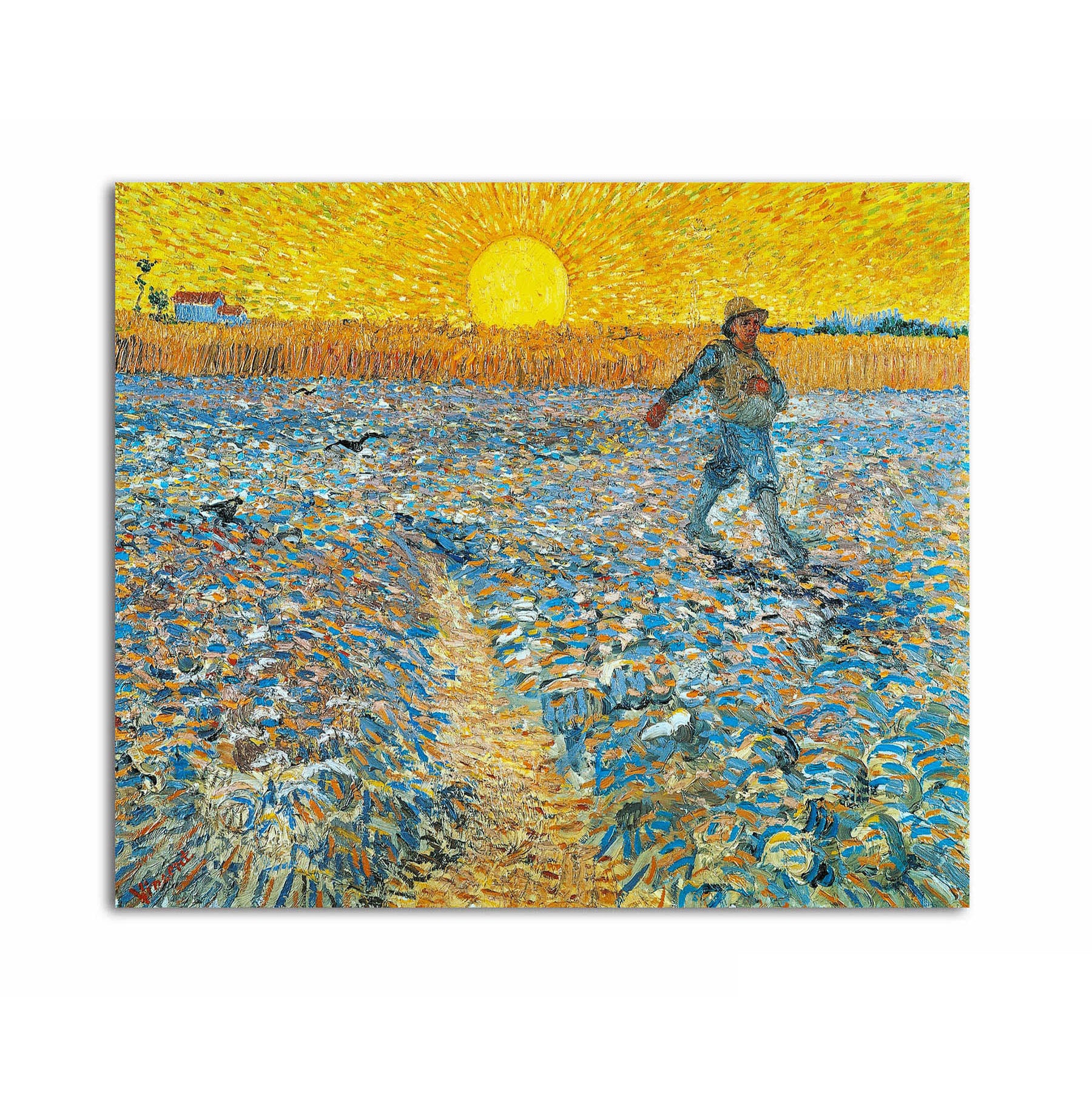 The Sower under the Sun
