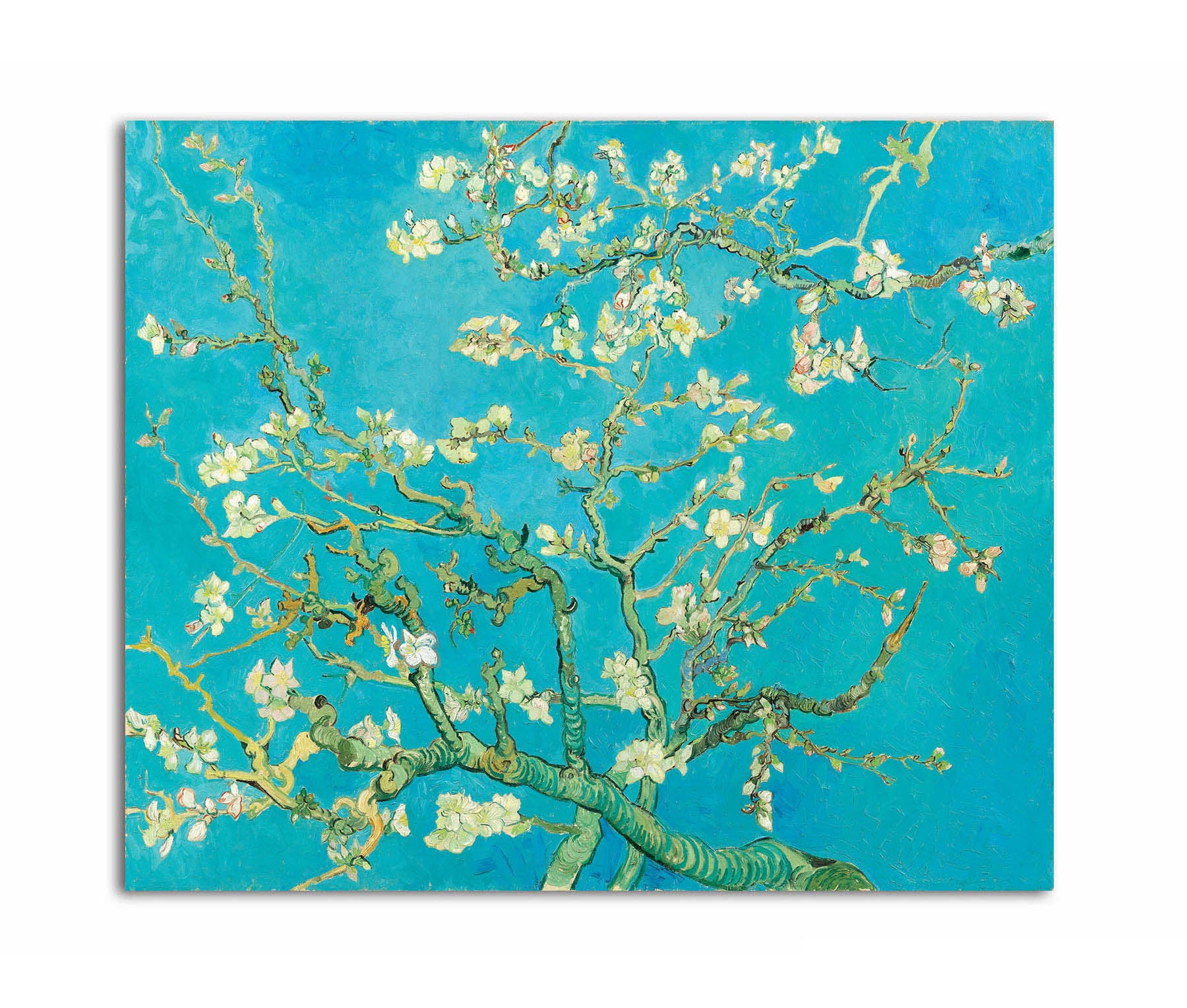 Almond Blossom  - Canvas Painting - Unframed