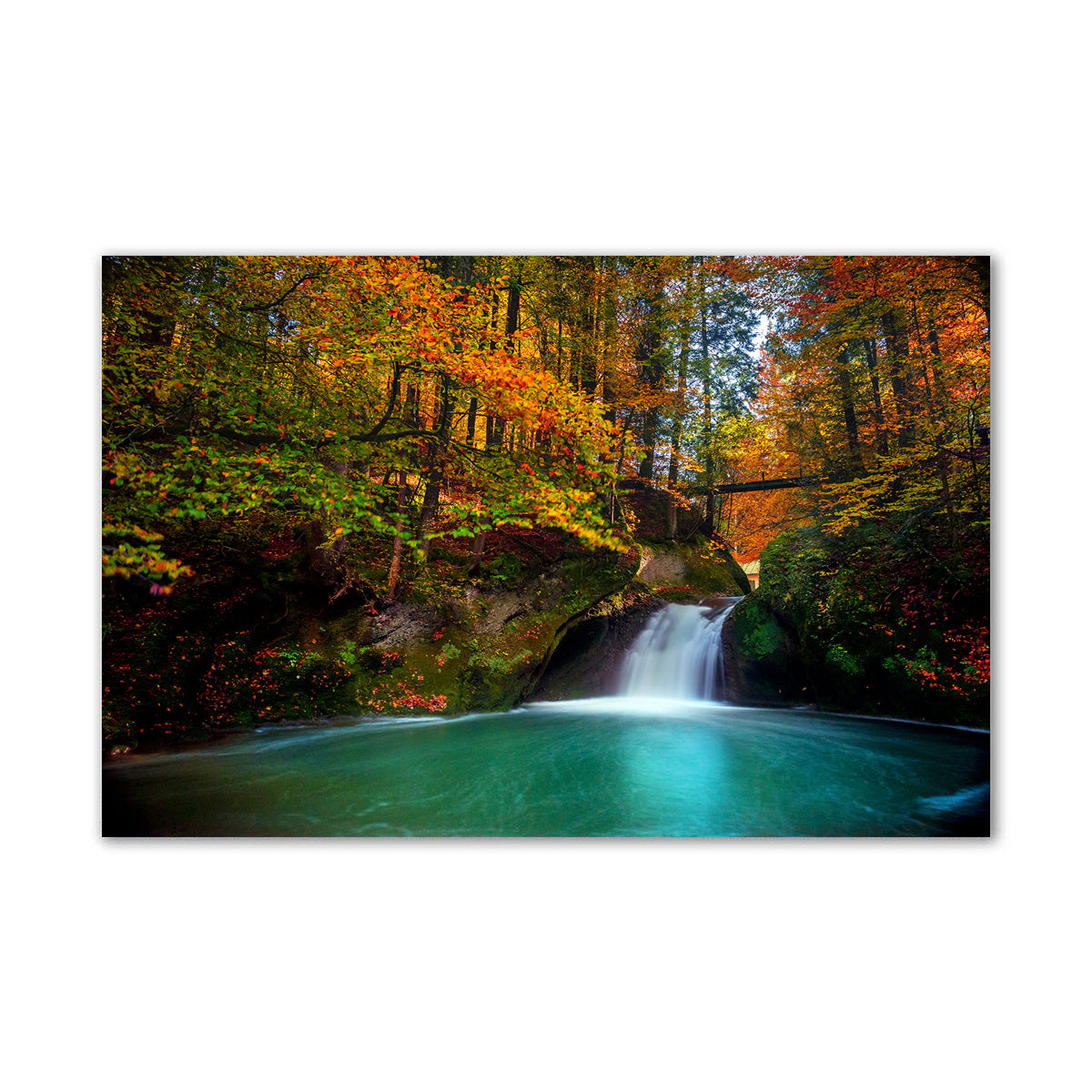 Nature Art  - Canvas Painting - Unframed
