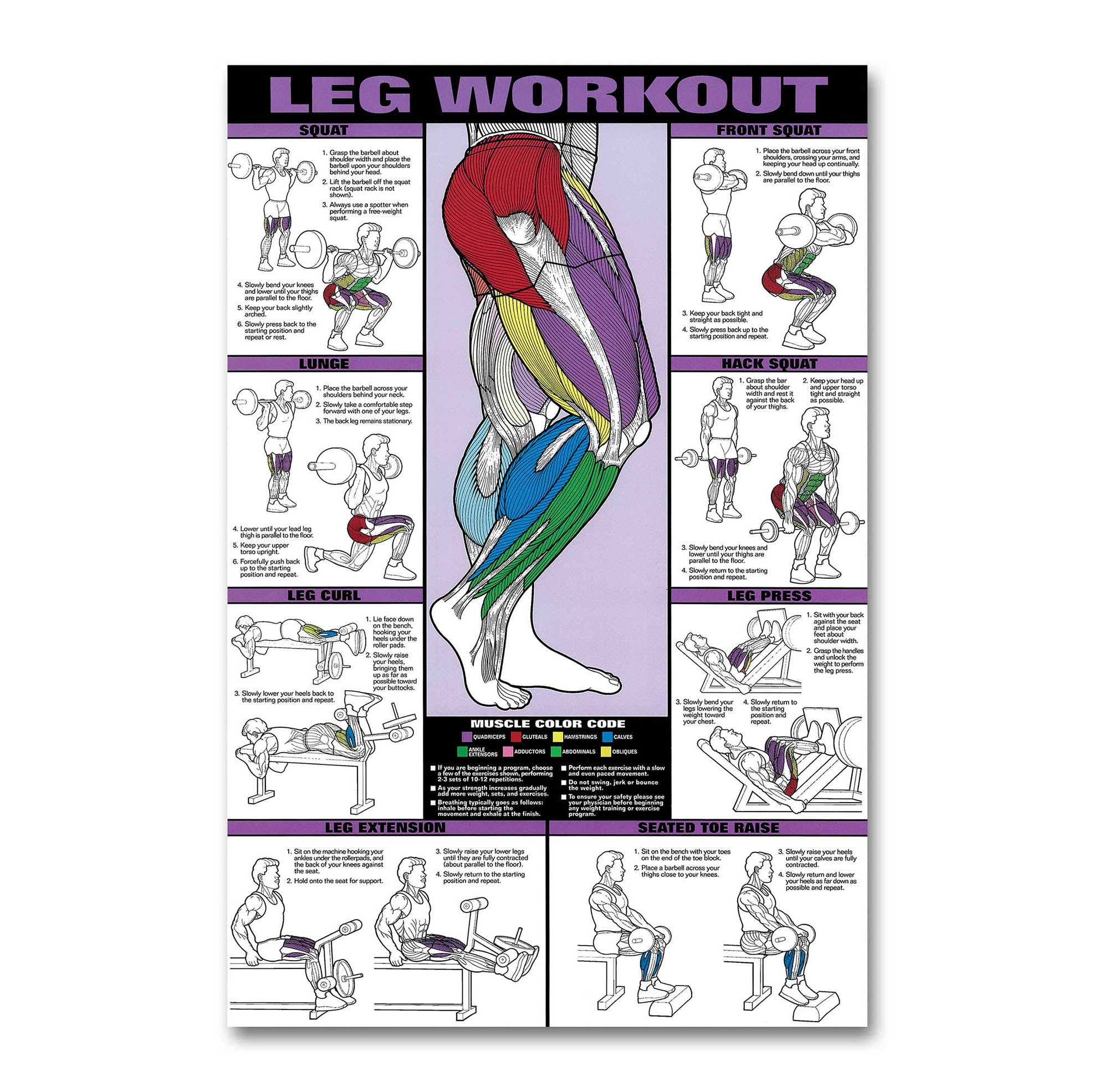Gym Poster - Leg Workout