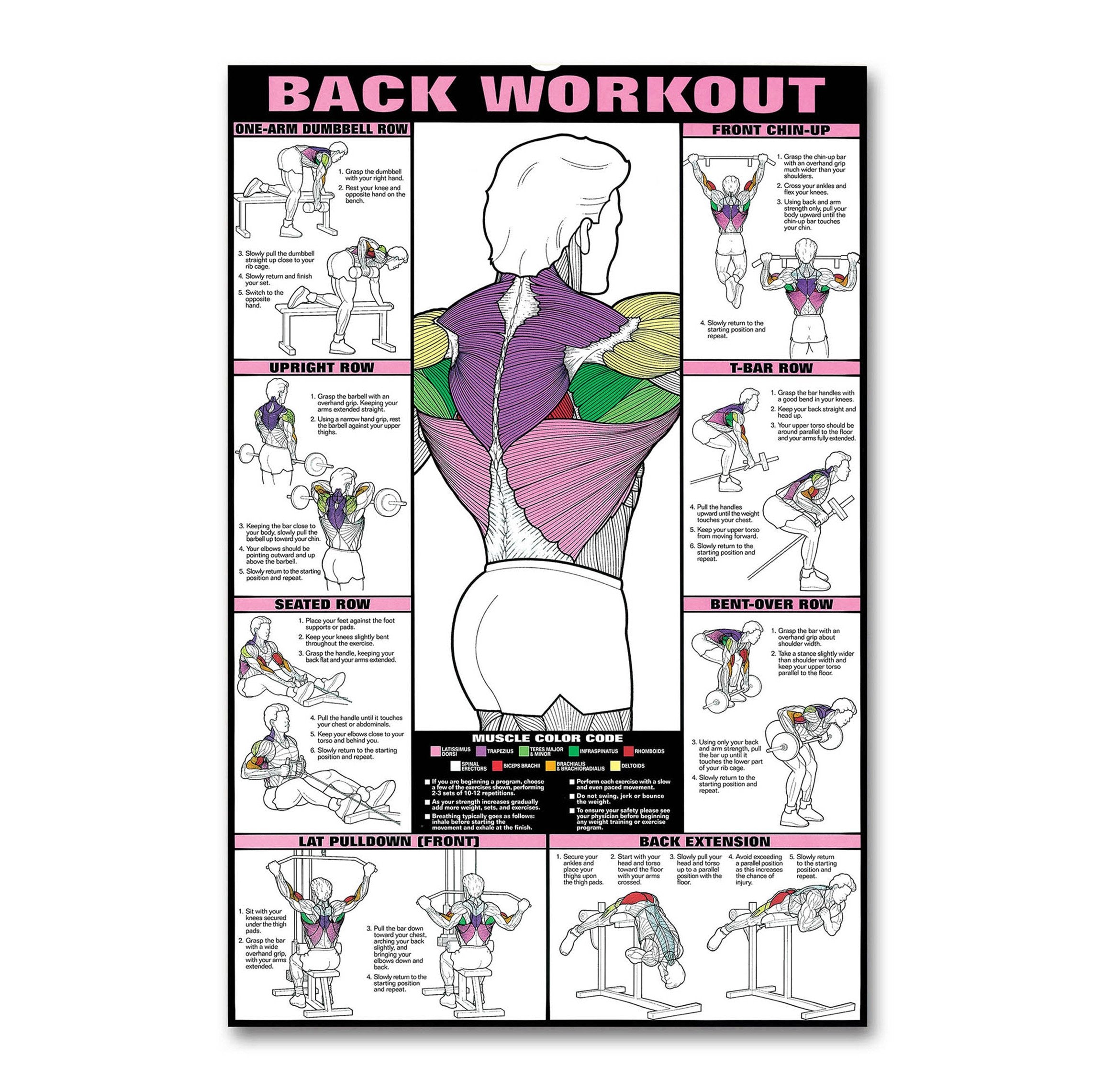 Gym Poster - Back Workout