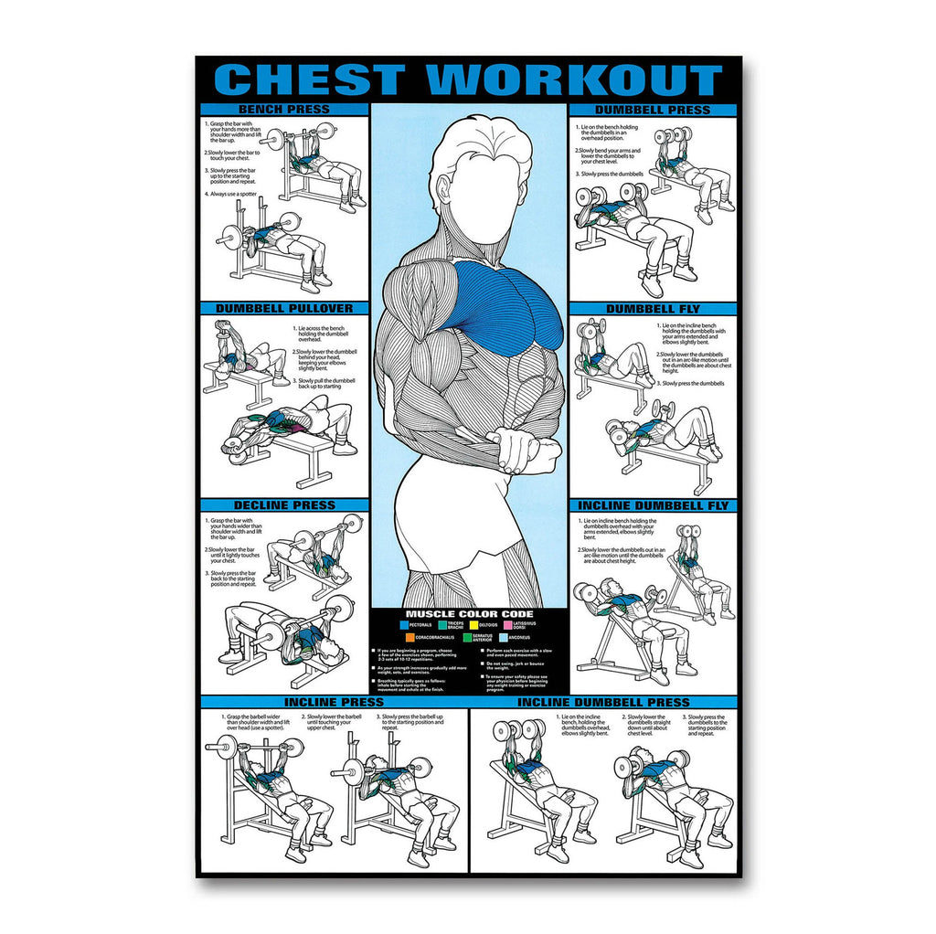 Gym Poster Chest Workout